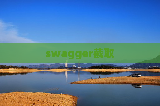 swagger截取